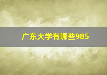 广东大学有哪些985