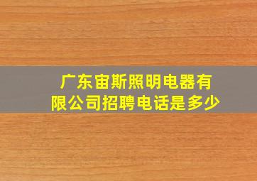 广东宙斯照明电器有限公司招聘电话是多少