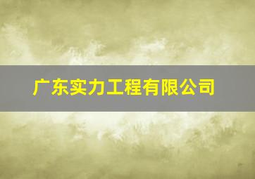 广东实力工程有限公司