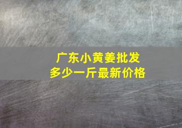 广东小黄姜批发多少一斤最新价格