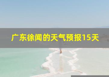 广东徐闻的天气预报15天