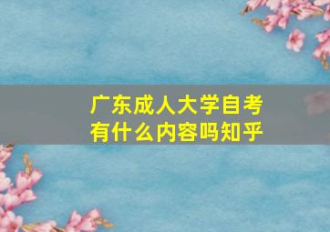 广东成人大学自考有什么内容吗知乎