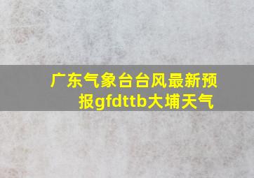 广东气象台台风最新预报gfdttb大埔天气