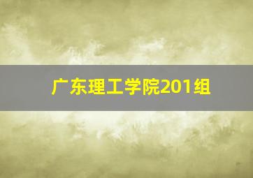 广东理工学院201组