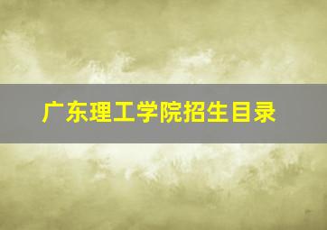 广东理工学院招生目录