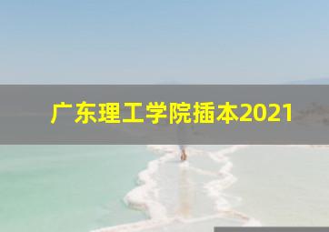 广东理工学院插本2021