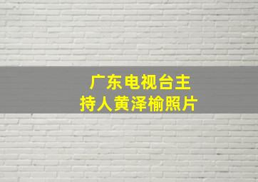 广东电视台主持人黄泽榆照片