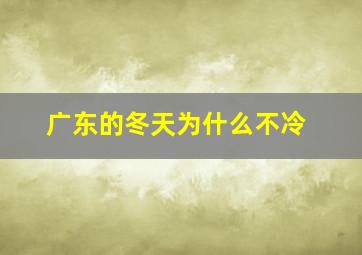 广东的冬天为什么不冷