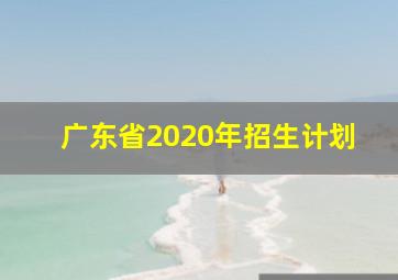 广东省2020年招生计划