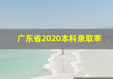 广东省2020本科录取率