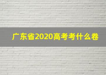 广东省2020高考考什么卷