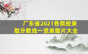 广东省2021各院校录取分数线一览表图片大全