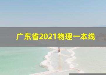 广东省2021物理一本线