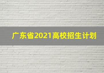 广东省2021高校招生计划