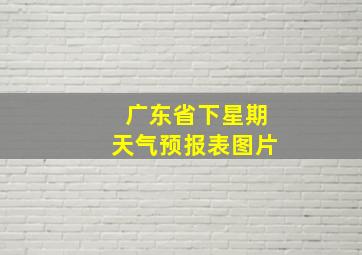 广东省下星期天气预报表图片