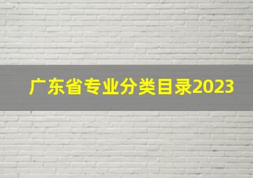 广东省专业分类目录2023