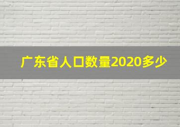 广东省人口数量2020多少