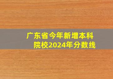 广东省今年新增本科院校2024年分数线