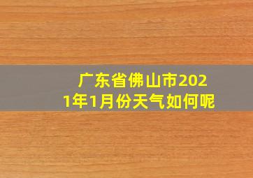 广东省佛山市2021年1月份天气如何呢