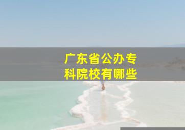 广东省公办专科院校有哪些