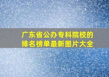 广东省公办专科院校的排名榜单最新图片大全