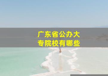 广东省公办大专院校有哪些