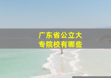 广东省公立大专院校有哪些