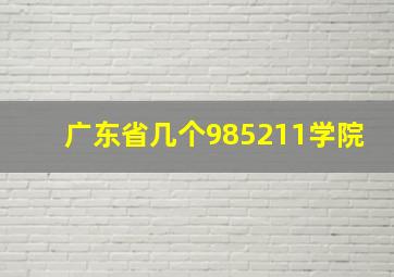 广东省几个985211学院