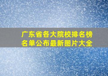 广东省各大院校排名榜名单公布最新图片大全