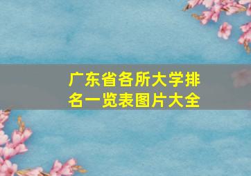 广东省各所大学排名一览表图片大全