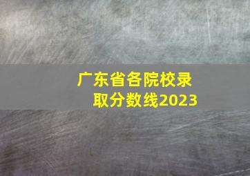 广东省各院校录取分数线2023