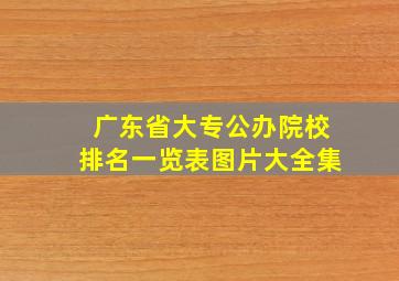 广东省大专公办院校排名一览表图片大全集