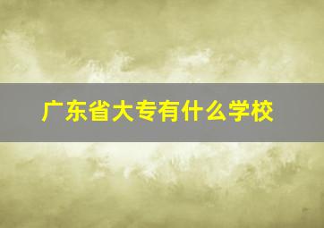 广东省大专有什么学校