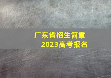 广东省招生简章2023高考报名