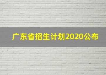 广东省招生计划2020公布