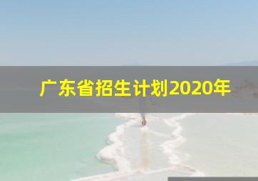 广东省招生计划2020年