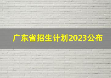 广东省招生计划2023公布