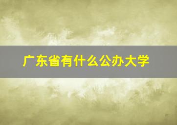 广东省有什么公办大学