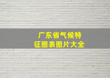 广东省气候特征图表图片大全