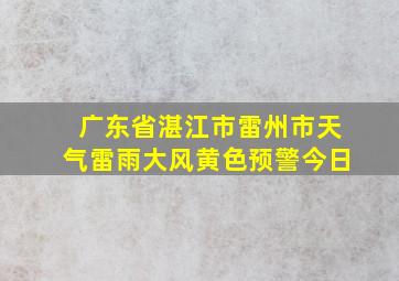 广东省湛江市雷州市天气雷雨大风黄色预警今日