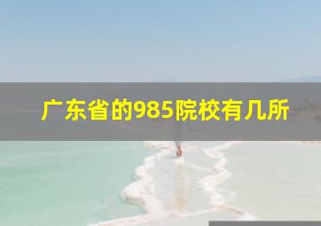 广东省的985院校有几所