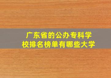 广东省的公办专科学校排名榜单有哪些大学