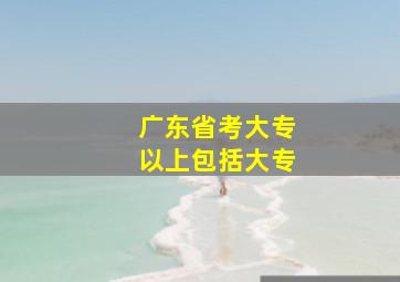 广东省考大专以上包括大专