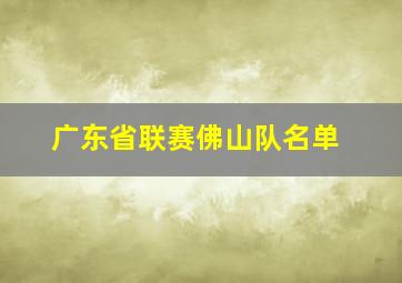 广东省联赛佛山队名单