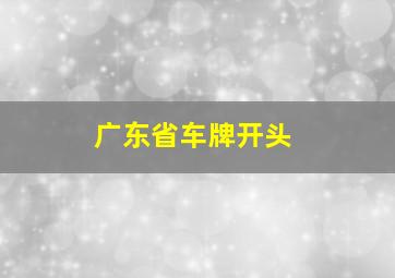 广东省车牌开头