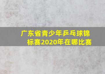 广东省青少年乒乓球锦标赛2020年在哪比赛