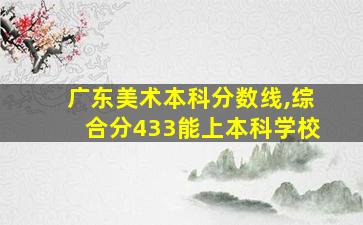 广东美术本科分数线,综合分433能上本科学校