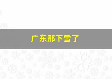 广东那下雪了