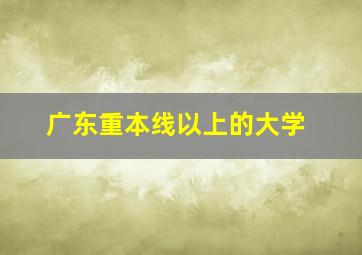 广东重本线以上的大学