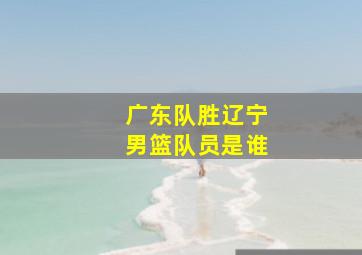 广东队胜辽宁男篮队员是谁